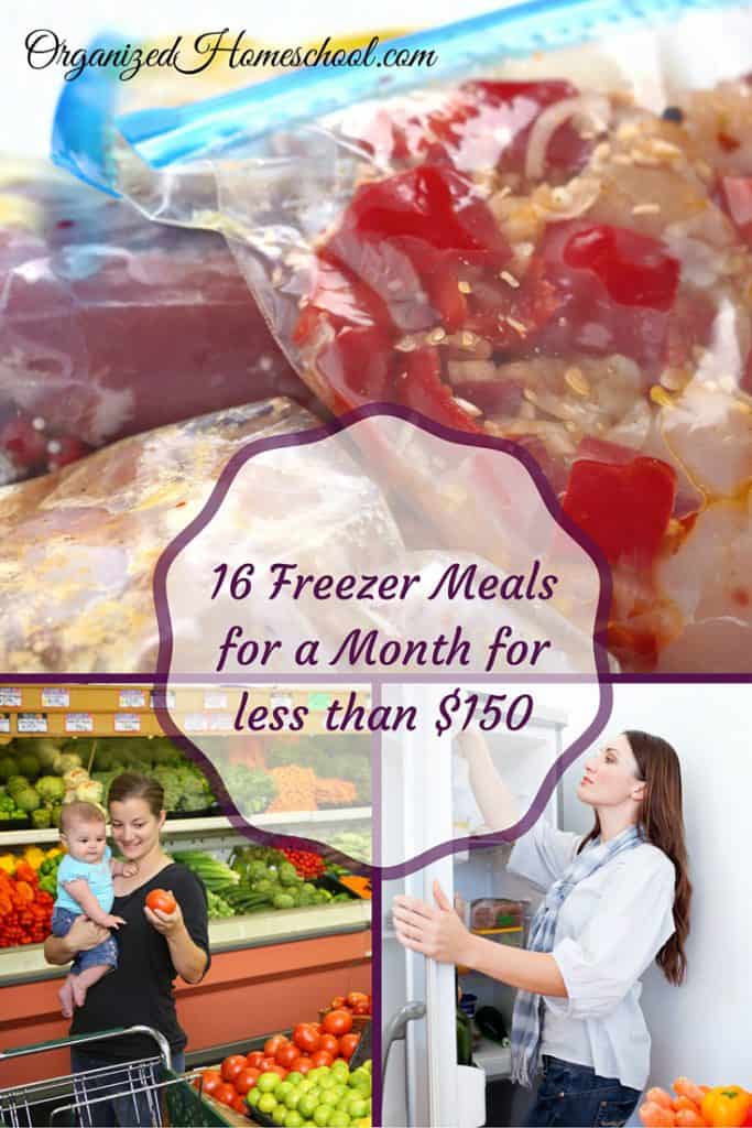 16 Freezer Meals for a Month for less than $150