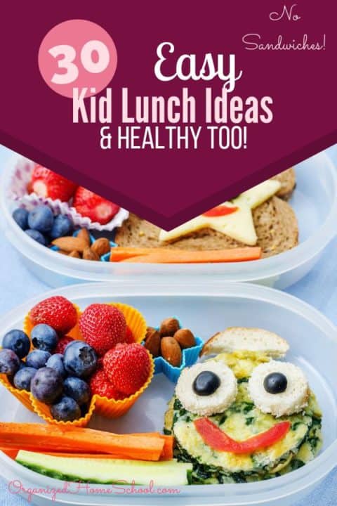 30 Low-Prep Healthy Lunch Options for Kids - Organized Home School