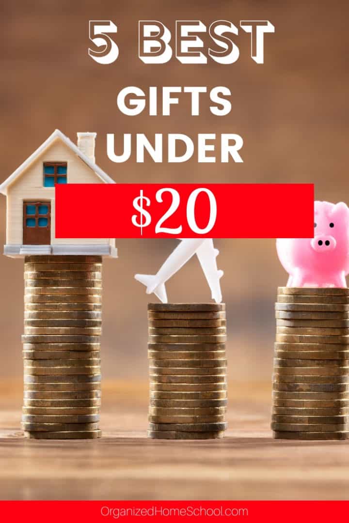 Top 5 Christmas Gifts Under $20  Organized Home School