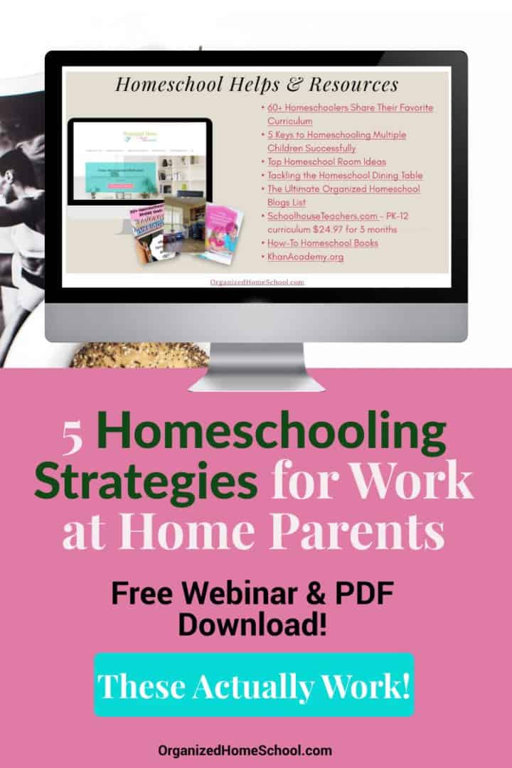 https://organizedhomeschool.com/wp-content/uploads/2020/04/5-homeschool-schedule-ideas-for-work-from-home-parents-720x1080.jpg