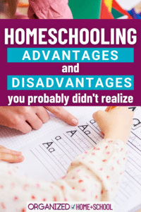 Should you homeschool? That's a big decision. This list of homeschooling pros and cons will help you decide if it's the best thing for your family.