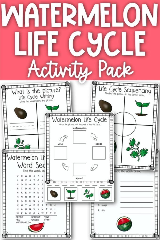 watermelon life cycle activity pack for kids